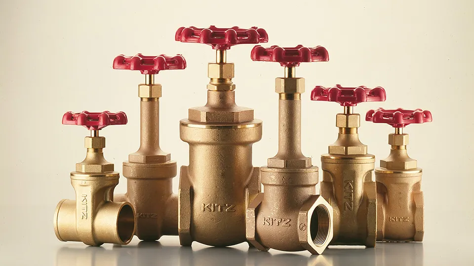 Gate Valve