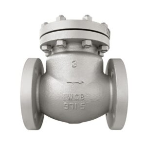 Flanged check valve