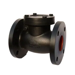 Check Valve